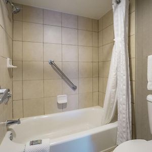Suite con letto king size