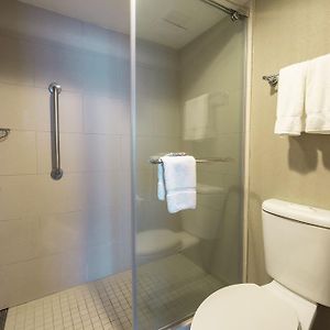 Suite con letto king size